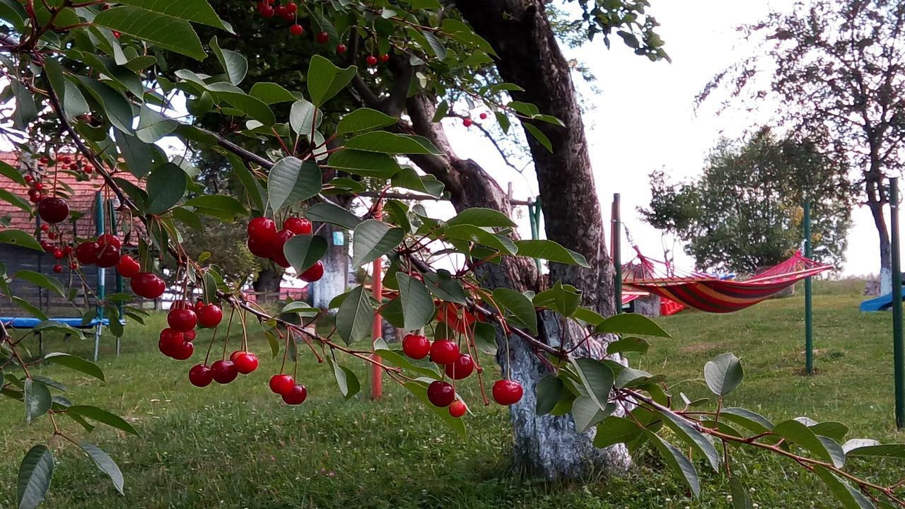 Pensiunea Tabacaru Villa Peştera Exterior foto