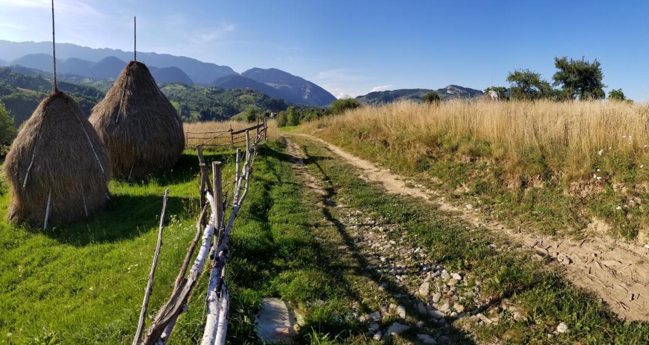 Pensiunea Tabacaru Villa Peştera Exterior foto