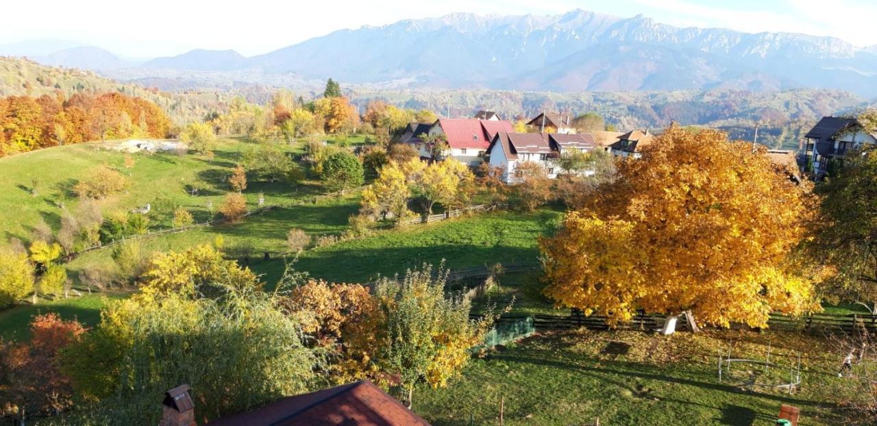 Pensiunea Tabacaru Villa Peştera Exterior foto